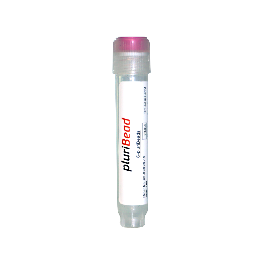 CD90 S-pluriBead® anti-porcine