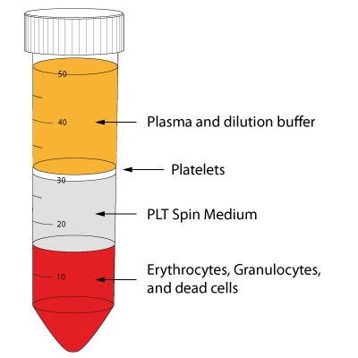 Whole blood after the centrifugation with PLT Spin Media. The platelets can be found on top of the density medium and in the plasma and dilution buffer.