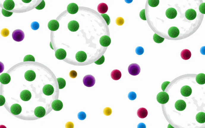 Positive Zellisolation mit pluriBaed und pluriBead universal. Vorrübergehende antikörpervermittelte Bindung der Zielzellen an pluriBeads. Nach der Trennung von ungewollten Zellen über einen pluriStrainer können die Zielzellen abgelöst werden und stehen mit hoher Reinheit für Folgeexperimente zur Verfügung.