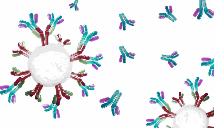 pluriBead, nicht-magnetische Zellisolation mit individuellen Fängerpartikeln. Sie möchten mit ihrem eigenen Antikörper arbeiten? pluriBead universal steht ihnen für 6 verschiedene Wirtspezies zur Verfügung. In den Größen S-und M-pluriBead zur Beschichtung mit ihrem eigenen IgG-Antikörper.