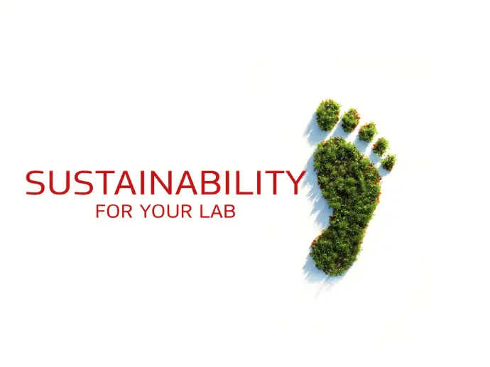 Sustainability green footprint