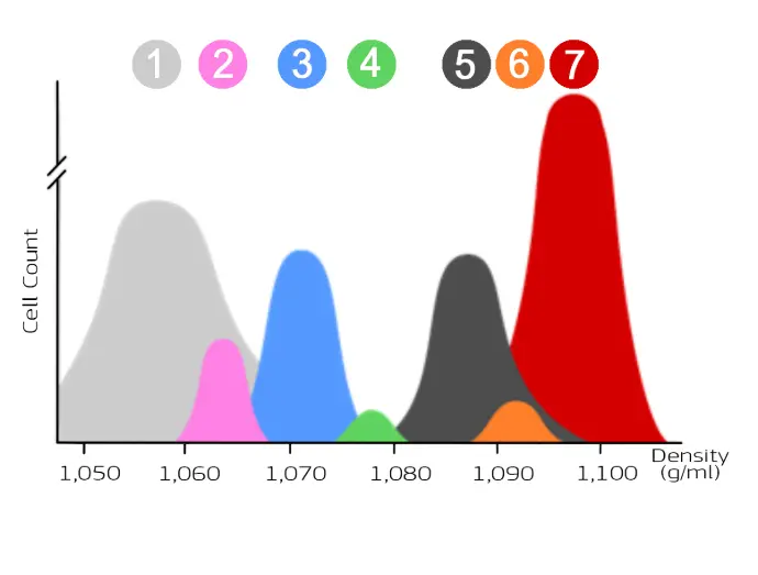 Distribution of blood cell populations as a function of density Distribution of blood cell populations as a function of density