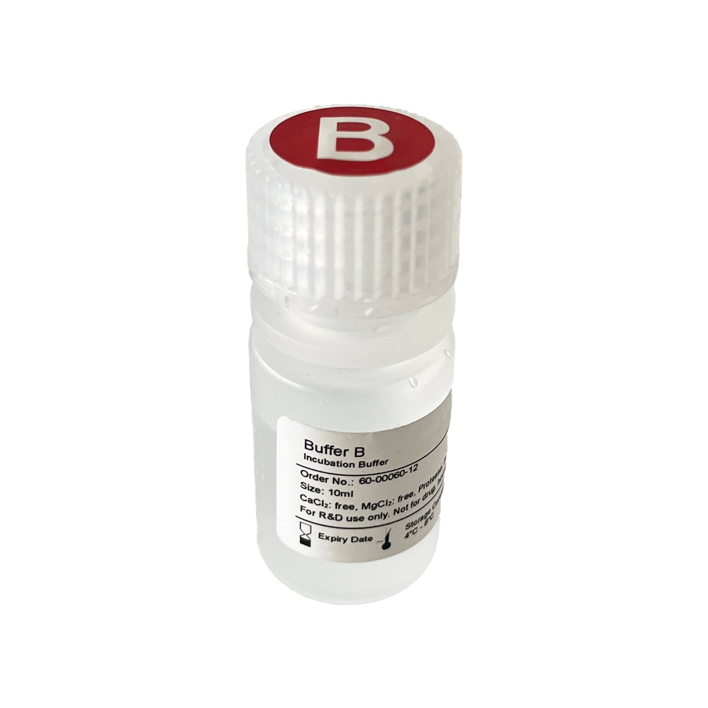 [60-00060-12] 缓冲液 B（孵育缓冲液） (1 BTL，10 毫升)